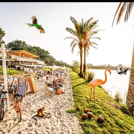 Nighthost Kleczkowska 49 M53