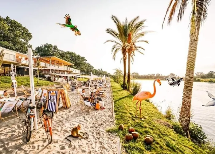 Nighthost Kleczkowska 49 M53